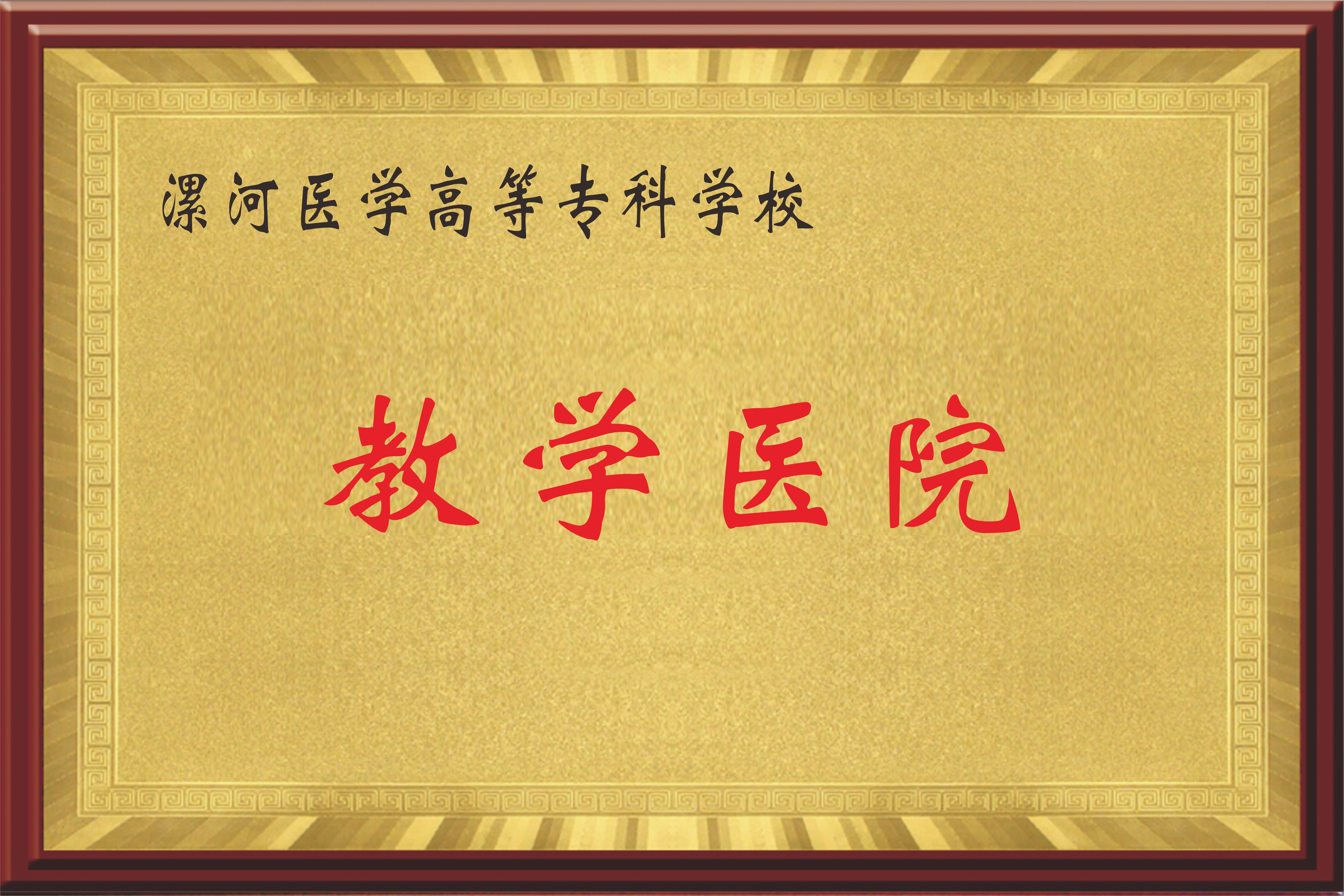 漯河医学高等专科学校教学医院